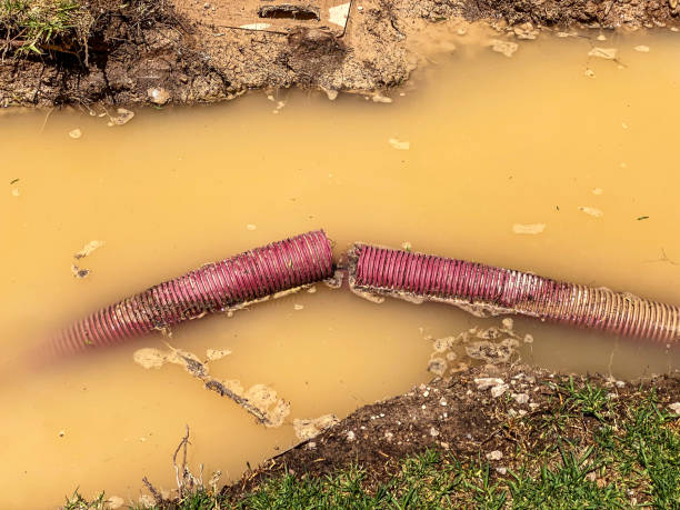 Best Water damage restoration near me  in Bayside, WI